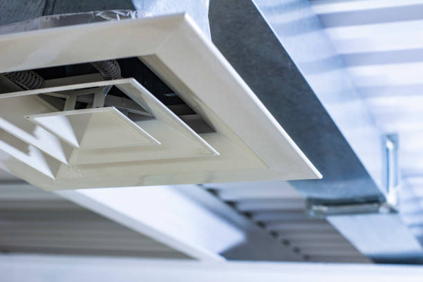 Best Local Air Duct Cleaning Services  in Lake City, AR