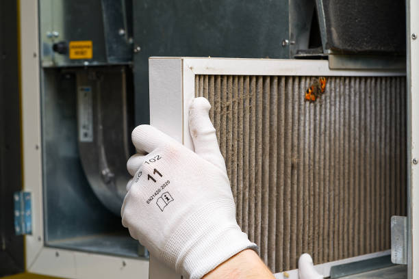 Best Emergency Air Duct Cleaning  in Lake City, AR